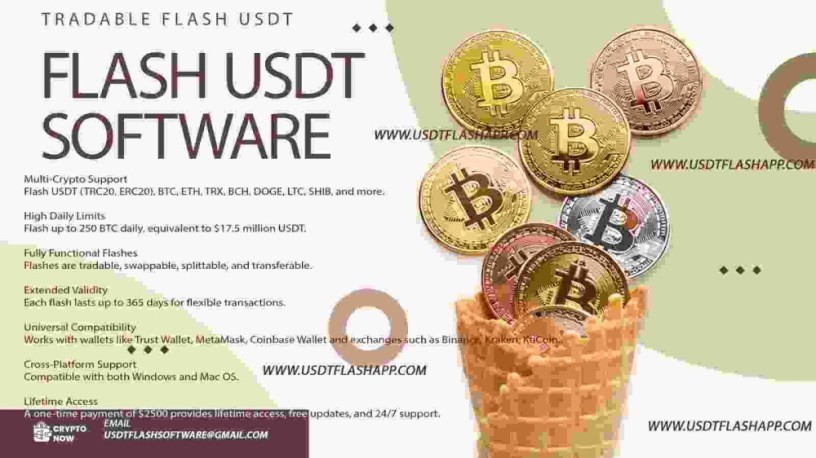 flash-usdt-application-big-0