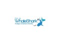 private-whale-shark-tour-in-cabo-with-baja-whale-shark-small-0