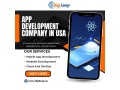 app-development-company-in-usa-digileap-small-0