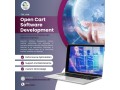 opencart-development-company-small-0