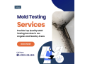 accurate-mold-testing-in-burbank-your-first-step-towards-a-mold-free-home-small-0