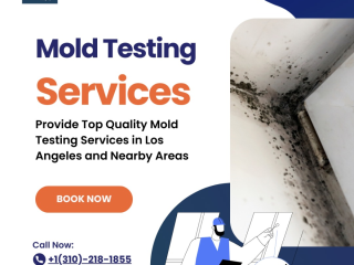 Accurate Mold Testing in Burbank: Your First Step Towards a Mold-Free Home