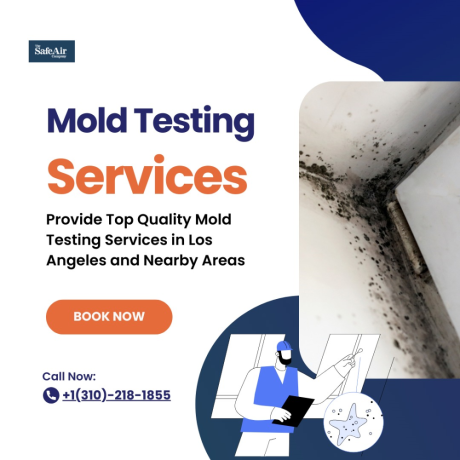 accurate-mold-testing-in-burbank-your-first-step-towards-a-mold-free-home-big-0