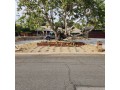 landscaping-services-in-riverside-small-0