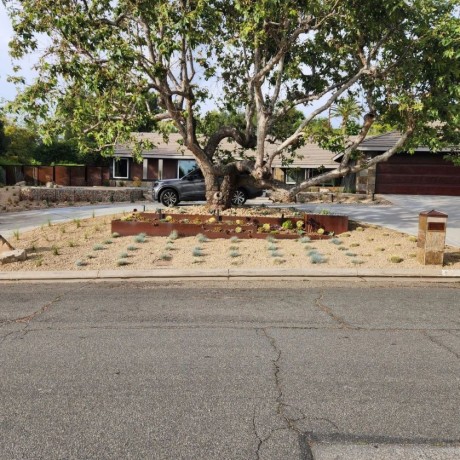 landscaping-services-in-riverside-big-0