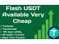 fast-reliable-flash-usdt-software-small-0