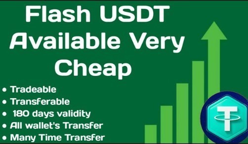 fast-reliable-flash-usdt-software-big-0