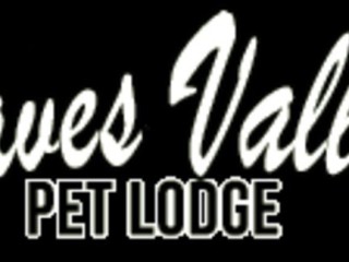 Caves Valley Pet Lodge