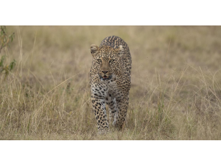All-inclusive Kenya group tour