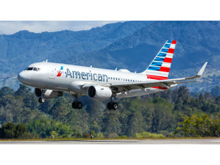 How can I take my dog on a American airline for free?
