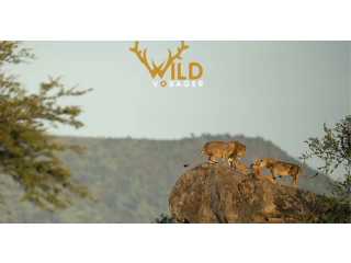 East Africa safari - Wild Voyager