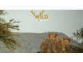 kenya-luxury-safari-small-0