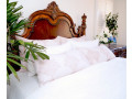 buy-decorative-pillows-for-sofa-native-linum-small-0