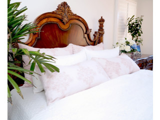 Buy Decorative Pillows For Sofa - Native linum