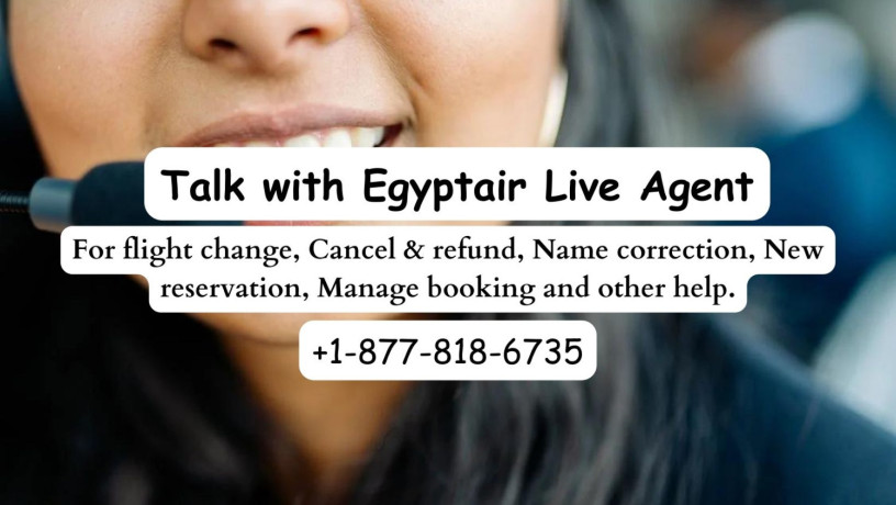 how-to-speak-a-live-person-at-egyptair-247-big-0