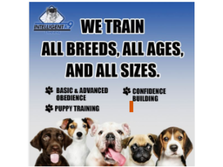 FINALLY, A DOG TRAINING PROGRAM THAT COVERS IT ALL!