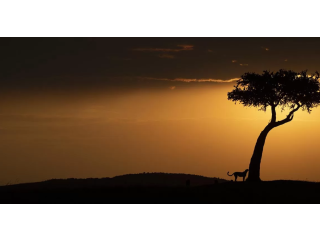 Kenya's wonders with our affordable travel packages