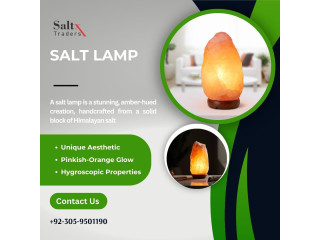 "SaltXTraders: Your Trusted Salt Exporter in Pakistan"