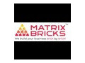 transform-your-digital-footprint-with-leading-seo-services-in-usa-matrix-bricks-small-0