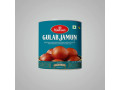 divine-delight-authentic-indian-gulab-jamun-small-0