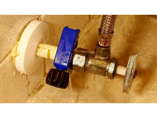Bluejay Maintenance & Construction Services: Expert Solutions for Bathroom Sink Shut-off Leaks