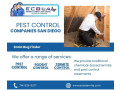 ecola-termite-pest-control-rodent-control-san-diego-small-0