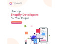 teqnovos-your-premier-shopify-app-development-agency-small-0