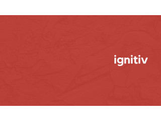 Elevate Your E-Commerce Experience with Ignitiv's Comprehensive Solutions