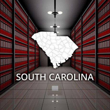 unveiling-south-carolinas-legacy-exploring-county-records-big-0