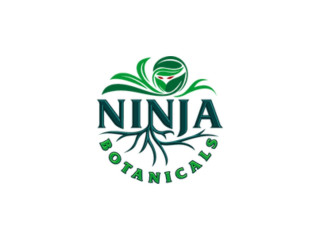 Discover Exquisite Kratom Recipes in Florida with Ninja Botanicals
