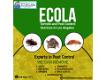 ecola-termite-and-pest-control-services-your-trusted-choice-for-pest-control-in-los-angeles-small-0