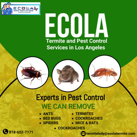 ecola-termite-and-pest-control-services-your-trusted-choice-for-pest-control-in-los-angeles-big-0