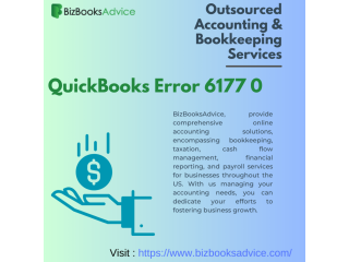 Resolving QuickBooks Error 6177 with BizBooksAdvice