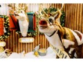 animatronics-christmas-animals-characters-suppliers-in-vietnam-small-2