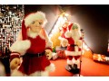 animatronics-christmas-animals-characters-suppliers-in-vietnam-small-0