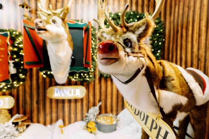 animatronics-christmas-animals-characters-suppliers-in-vietnam-big-2